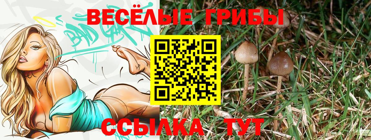 Псилоцибиновые грибы MAGIC MUSHROOMS  Псилоцибиновые грибы мухоморы  Вход с VPN  Дятьково 