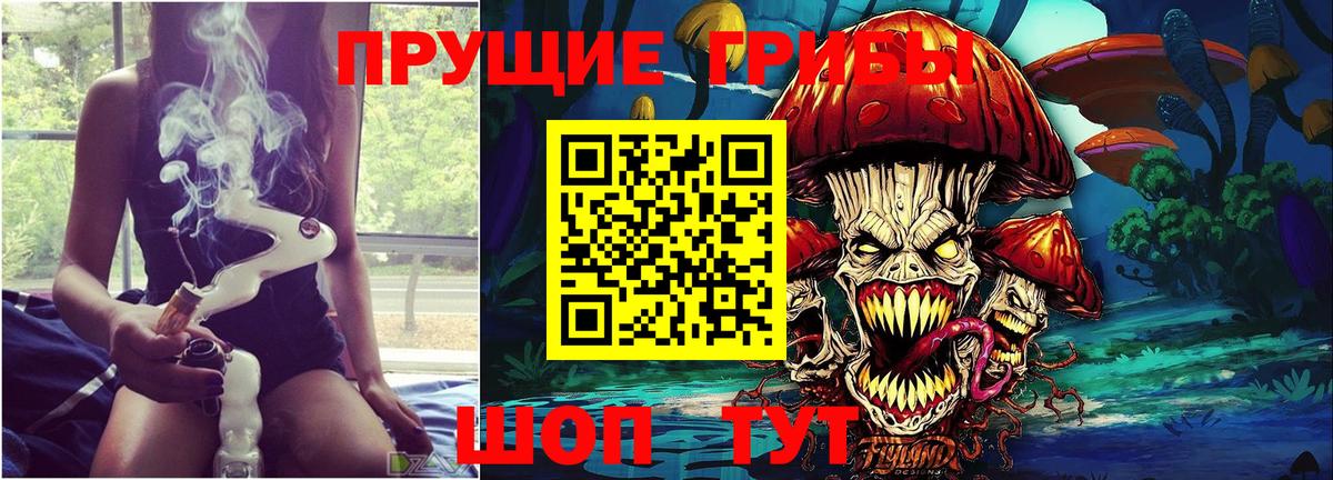 Галлюциногенные грибы MAGIC MUSHROOMS Дятьково